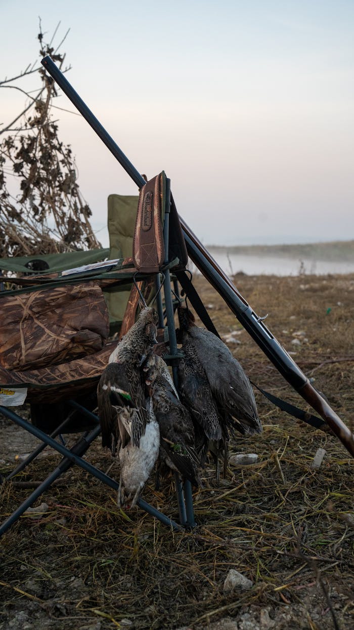 A detailed view of a hunting setup with ducks by the lakeshore in an outdoor setting.